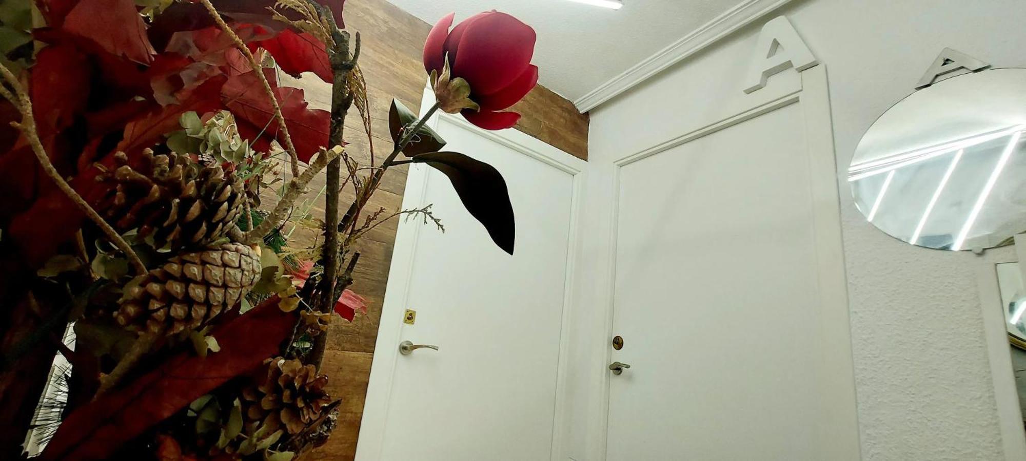 Modern Apartment In Alacant 60M² Wheelchair Accessible 阿利坎特 外观 照片